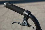 Sunday Scout BMX Bike (Matte Sage Green / 20.75")