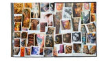 (Almost) 30 Years of Posh Woods Book