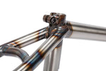 BSD Steeze BMX Frame (Joe Foley Signature)