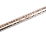 Stranger Basil 22 BMX Frame (Gloss Raw)