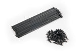 Eclat Stainless Steel Spokes (Black)